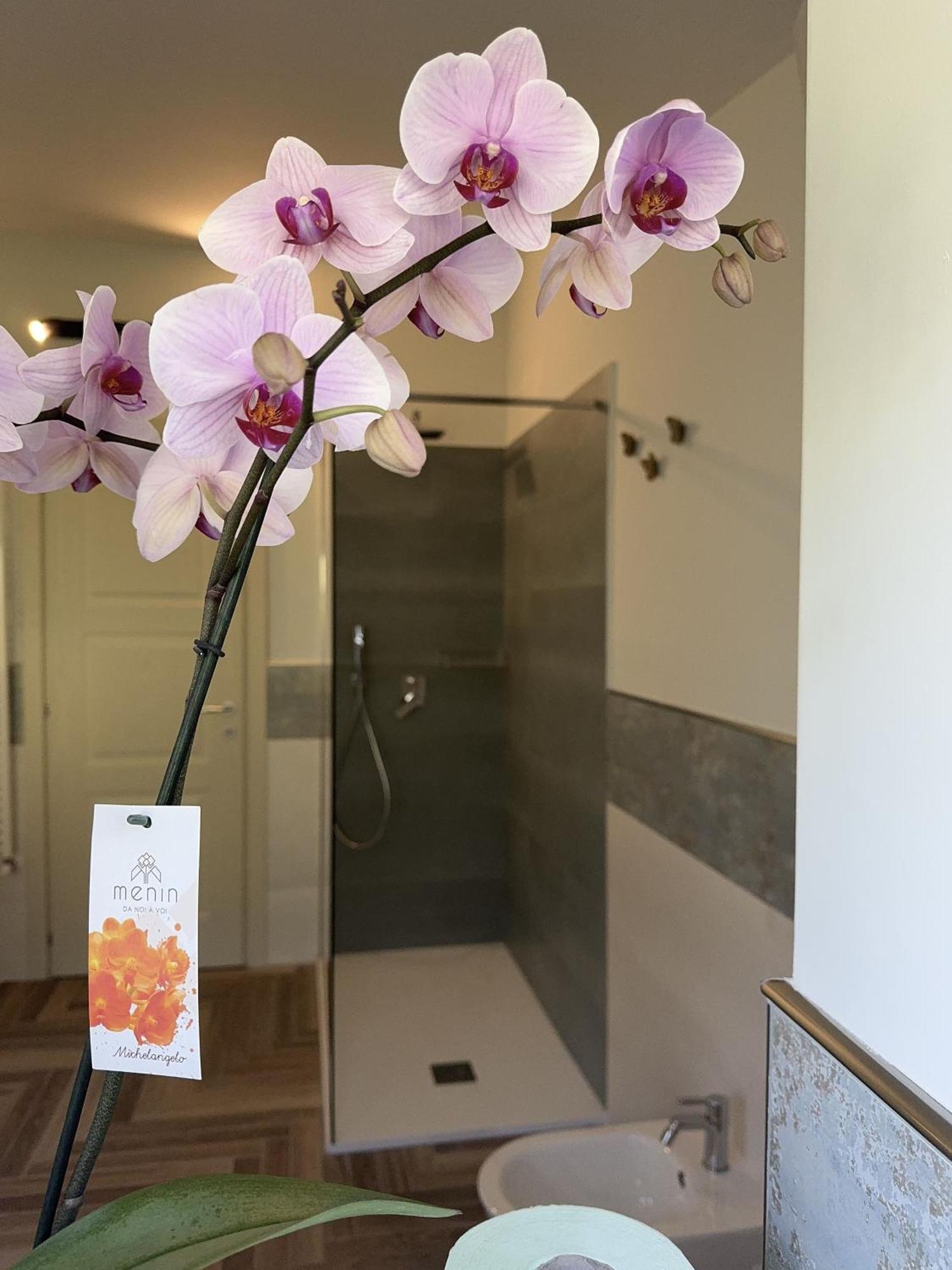 Villa C Luxury Estate SantʼAntonio Abate Стая снимка